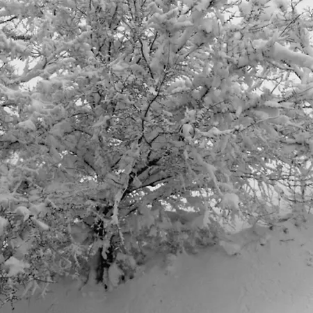 Apartament Il Podere